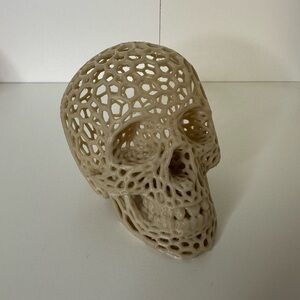 Voroni Skull Bone Decor